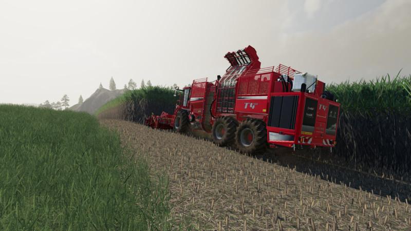 Ls19 Zuckerrohr Ls19 Zuckerrohr