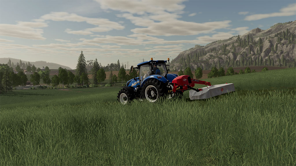 Ls 19 silage