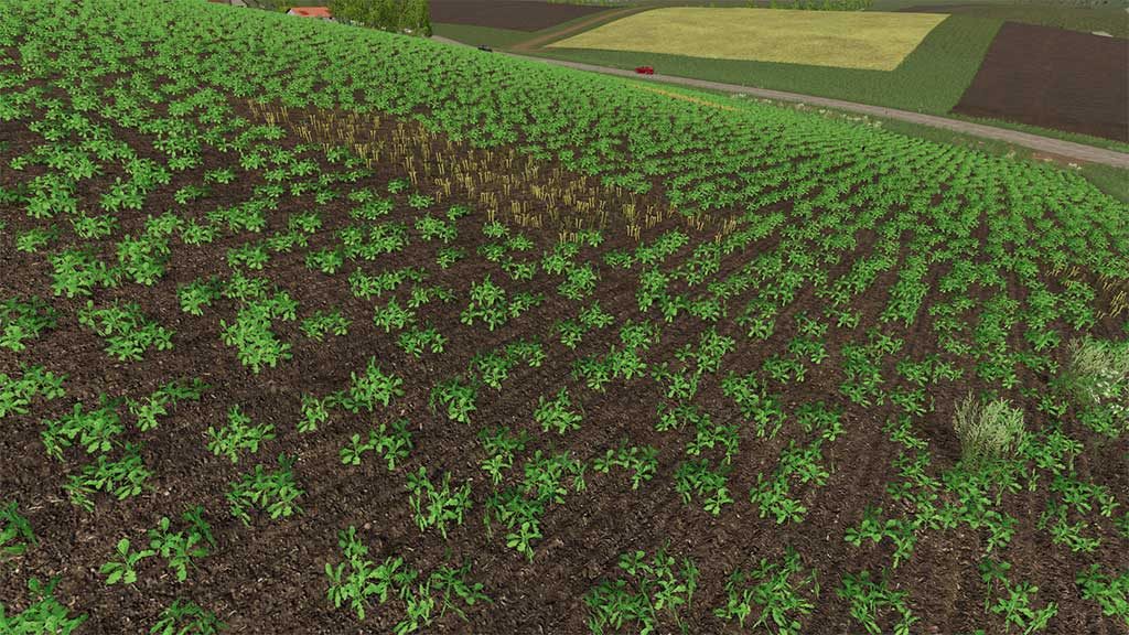 LS2019 Seasons 19 - Crops