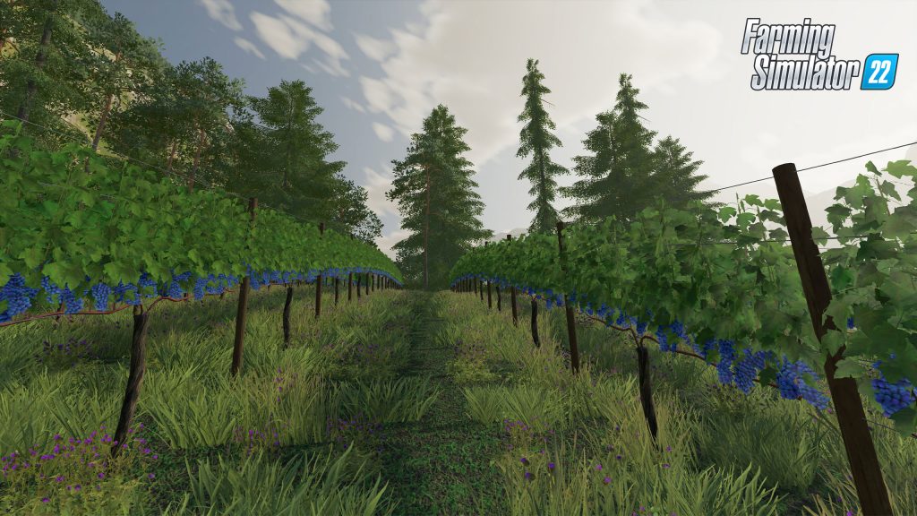 New Crops in Farming Simulator 22: Video presentation + screenshots