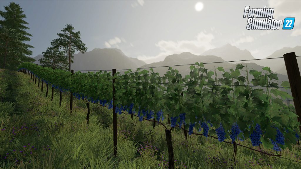 New Crops in Farming Simulator 22: Video presentation + screenshots